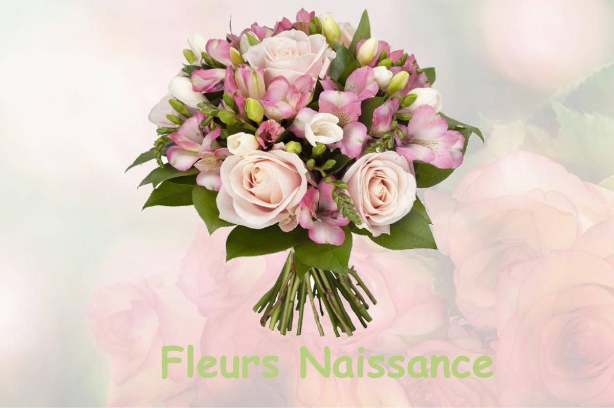 fleurs naissance BRISSAC-QUINCE