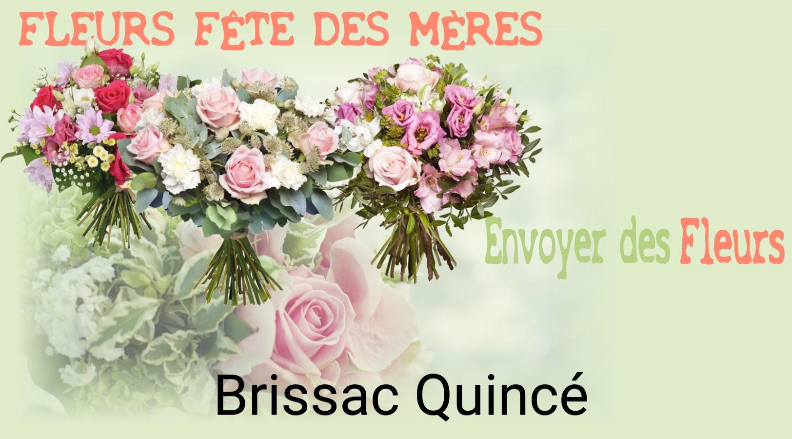 Bouquet de Fête des Mères livré à Brissac-Quincé